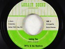 Sweet Soul 45 - Willie & The Nombres - Loving You - Lorain Sound