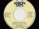 Modern Soul Gospel 45 - Allen Combs - What Would I Do - Banner