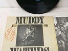 MUDDY WATERS King Bee AUTOGRAPHED SIGNED With COA Very RARE Vinyl Album VINTAGE