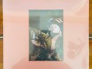 Hayley Williams Flowers For Vases & Petals For Armor Coloured 3x12
