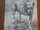 Alice in Chains 1st pressing  Columbia 481114 1