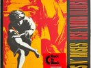 GUNS N' ROSES. USE YOUR ILLUSION I / 2008 Back To Black 180g 2-LP Remaster NEW