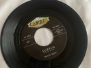 Beach Boys #331 Candix 45 Record Surfin/Luau
