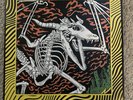 King Gizzard And The Lizard Wizard Vinyl Acoustic Gizzard Live