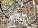 The Bad Plus - Complex Emotions NEW Vinyl