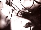 Void Vision - Sub Rosa (Vinyl LP - 2014 - EU - Reissue)