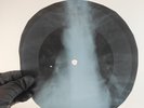 LED ZEPPELIN WHOLE LOTTA LOVE X-Ray USSR Record Roentgen Bone Ribs Music Vinyl