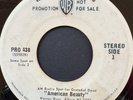 The Grateful Dead American Beauty Radio Spot 45  White Label Promo Only