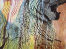 Amon Duul II Wolf City Lp orig 1st US pressing 1972 gatefold German prog psyche