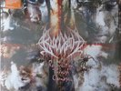 Bloodbath - Resurrection Through Carnage - Orange Vinyl Record NEW