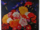 Teardrop Explodes - Wilder LP - Mercury UK SEALED