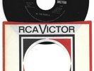 GARAGE 45  -  WE THE PEOPLE - LOVE IS A BEAUTIFUL THING - HEAR - 1967 RCA