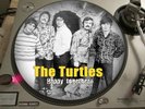 The Turtles - (So) Happy together 12