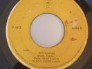 Salsa Guaguanco 45 Nueva Vegetacion - Muchachita Costa Rica private Rare HEAR