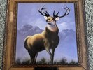Killdozer Twelve Point Buck Colored PURPE Vinyl w TOUCH and GO Insert 1989