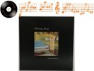 Throwing Muses The Real Ramona Vinyl LP + Inner Sleeve A1 B1 Pressing - EX