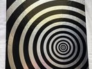The Smashing Pumpkins - The Aeroplane Flies High, Vinyl Box Set 5LP