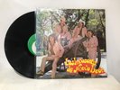 Los Invasores De Nuevo León Lp “Me Rompieron Tu Retrato” (VG+)