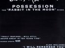 Sarah McLachlan - Possession (The 'Rabbit In The Moon' Mixes), 12