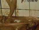 PISSGRAVE: SUICIDE EUPHORIA - LP vinyl *BRAND NEW*