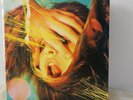 The Flaming Lips Embryonic 2009 US Psychedelic LP Ultrasonically Cleaned NM