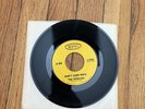 The Remains Mr Right Now / Don’t Look Back 45 7” Boston Punk Indie Garage