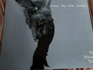 Sunny Day Real Estate the Rising Tide Vinyl LP