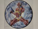 Iron Maiden Somewhere Back in Time Vinyl Picture Disc LP 12