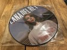 NEW MINT Lana Del Rey Born To Die Picture Disc Vinyl LP RSD 2013 FREE PROTECTOR