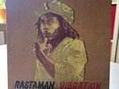Bob Marley and The Wailers Rastaman Vibration (Vinyl) 12