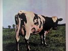 Pink Floyd 'Atom Heart Mother' Mobile Fidelity Sound Lab, ultrasonicaly cleaned