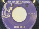 Latin Breed 