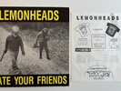 Lemonheads Hate Your Friends LP FIRST PRESSING INSERT Taang Fugazi Punk Husker