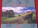 ORIGINAL SIGNIERT* Fury In The Slaughterhouse – Jau  (1990) *ERSTPRESSUNG *RAR