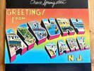 BRUCE SPRINGSTEEN GREETINGS FROM ASBURY PARK N.J. 1973 FIRST LP ORIGINAL BIOPIC