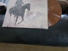 Ween ‎– 12 Golden Country Greats BROWN VINYL LP Near Mint 2009 Plain