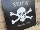 Skids-Peaceful Times White Vinyl, Punk  acoustic