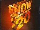 Various - Now That's What I Call Music  20 - Used Vinyl Record - T2508z
