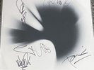 Linkin Park: A Thpusand Suns Signed Vinyl