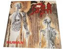 Death Human 12