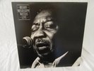 MUDDY WATERS   