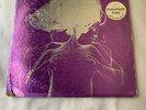 The Groupies Promo LP Vinyl
