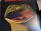 Uriah Heep  - Innocent Victim Vinyl LP  - Brand New Sealed