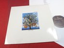 Talk Talk  SPIRIT OF EDEN  -  LP EMI Parlophone 064-7469771 Holland 1988