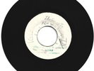 GAYLADS / I WEAR MY SLANDERS / LEE SCRATCH PERRY / A BIG JOKE / 7''