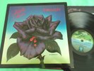 THIN LIZZY - Black Rose Ex+ vinyl LP nice copy Original Vertigo Spaceship Label