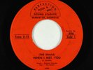Garage 45 - Snails - When I Met You/The Snails Love Theme - Perfection - rare
