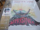 BOB MARLEY & THE WAILERS - UPRISING LP - HALF SPEED MASTERING