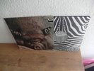 Kin Ping Meh 2, Krautrock, Prog Rock , 1st.Press Zebra 1972 mint-/vg++