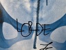 RARE DOUDLE SIGNATURE Lorde Virgin LP SIGNED Vinyl Official Autograph Insert NEW
